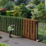 Thuja-Hecken Gartenverbot: Immer mehr Gemeinden verschärfen Regeln und drohen Eigentümern mit hohen Strafen